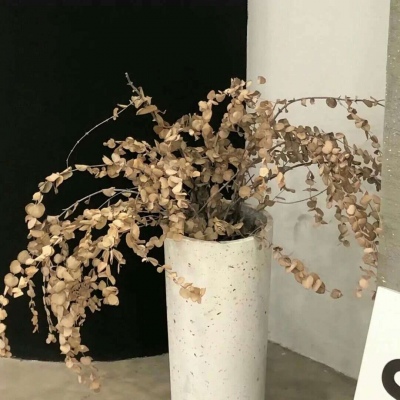 兽设沙漠场景绘制兽圈社群